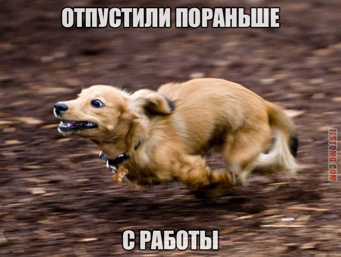 «Очень даже хорошо!»: астраханцы просят сократить рабочую неделю