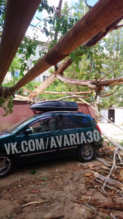 В Астрахани еще два дерева надругались над машинами