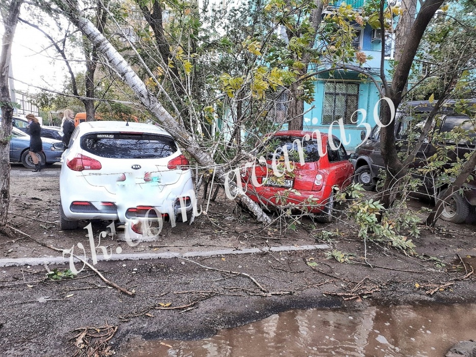 Последствия непогоды: деревья в Астрахани продолжают падать на машины