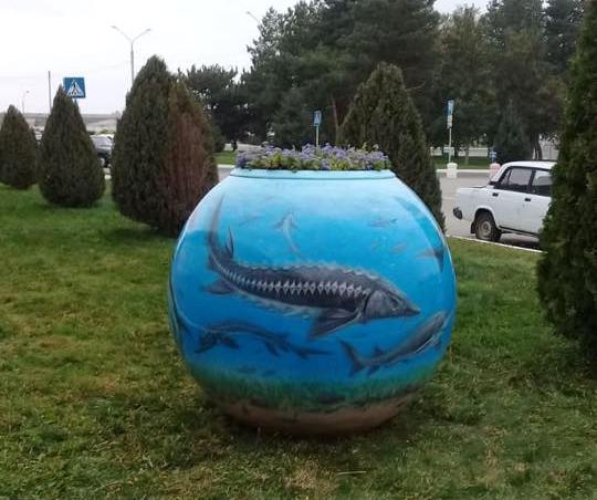 Приплыли: в Астрахани "укатились" футбольные клумбы