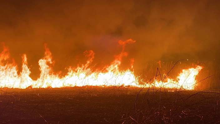 Сотрудники Астраханского заповедника боролись с первыми в этом году пожарами