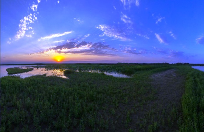 Астраханский заповедник: меньше воблы и зоопланктона, больше горчака и солончаков