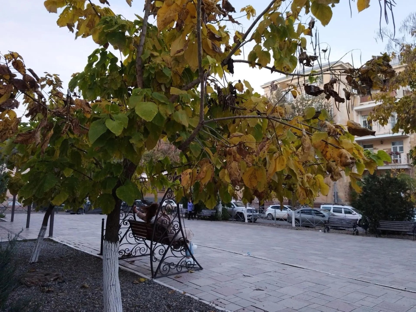 В Астрахань вновь идет потепление