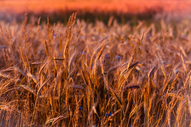 С какой погоды начнутся праздничные выходные в Астрахани