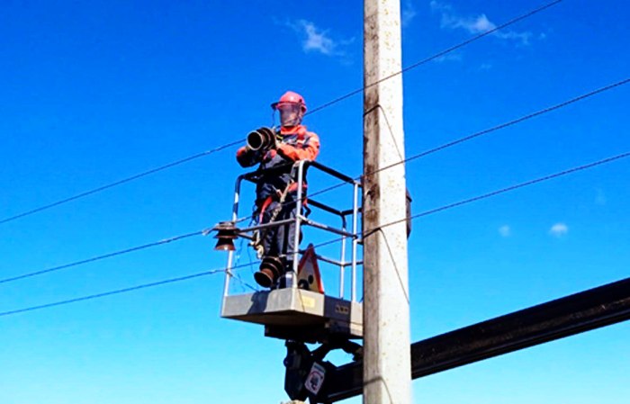 В Астраханском заповеднике полностью восстановили электроснабжение после крупного пожара 