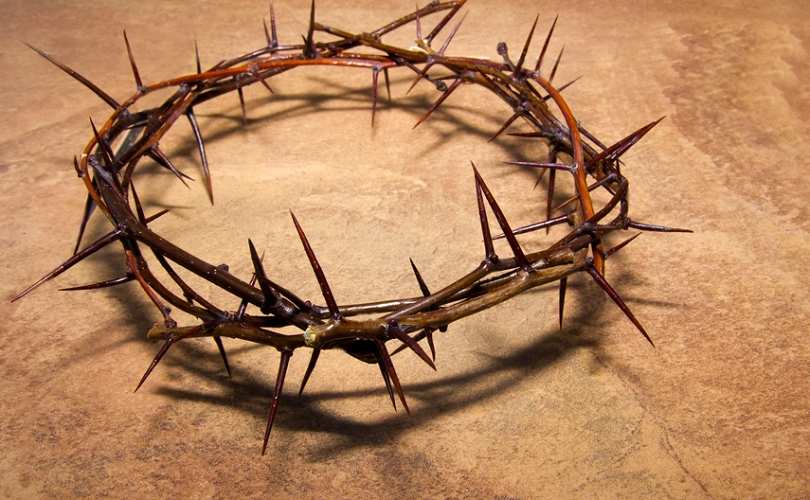 В Астраханскую область привезут шип из тернового венца Иисуса Христа