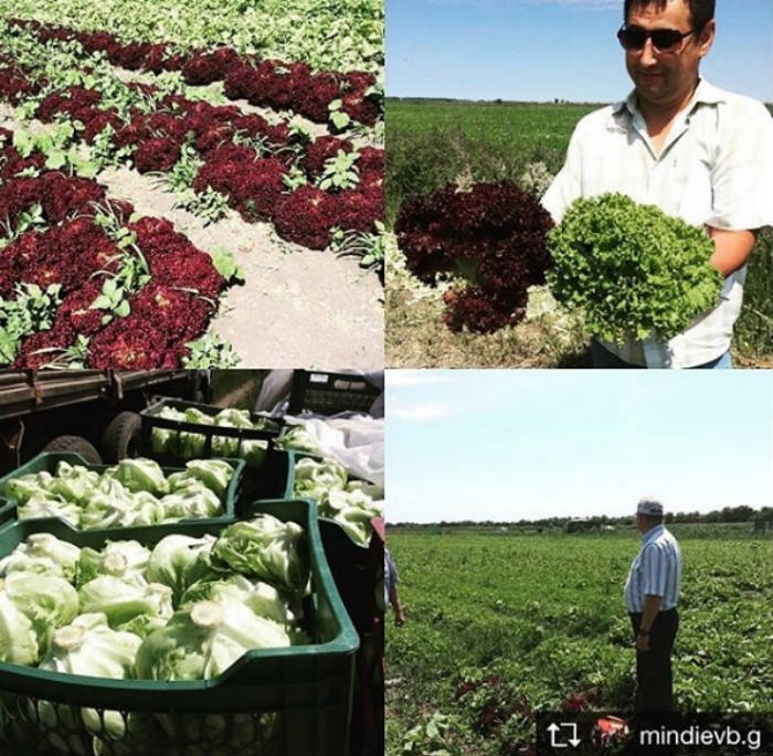 Володарский район претендует на звание одного из самых инновационных в регионе