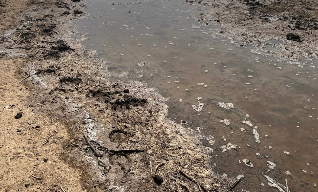 В астраханском поселке случился крупный фекальный разлив на 2 млн рублей