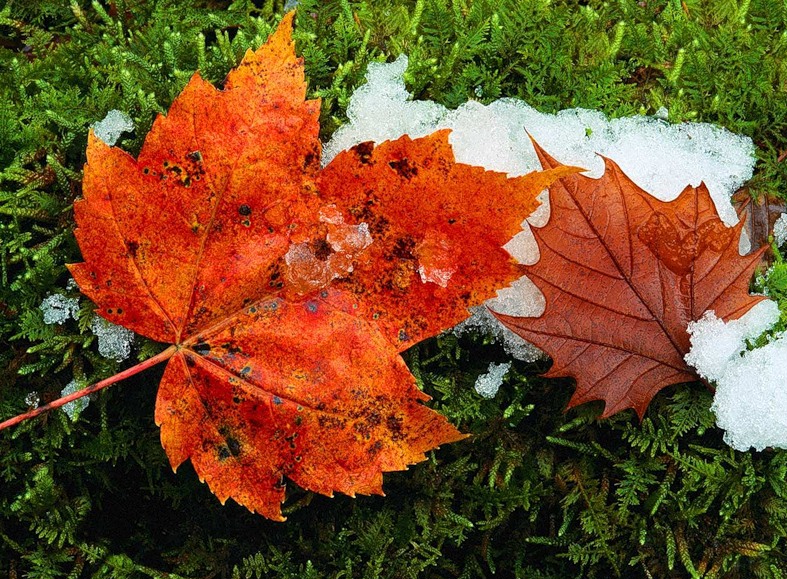Астраханская погода в ноябре