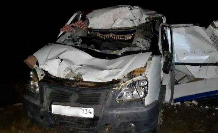 Верблюд стал причиной ужасной аварии на астраханской трассе 