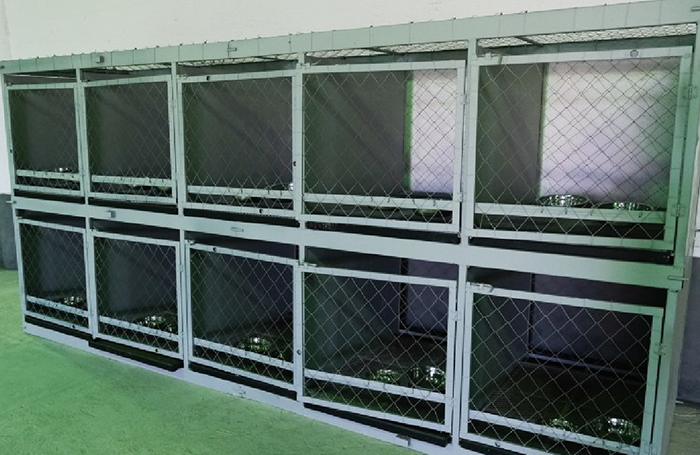 В Астрахани готовится к открытию еще один приют для бездомных животных