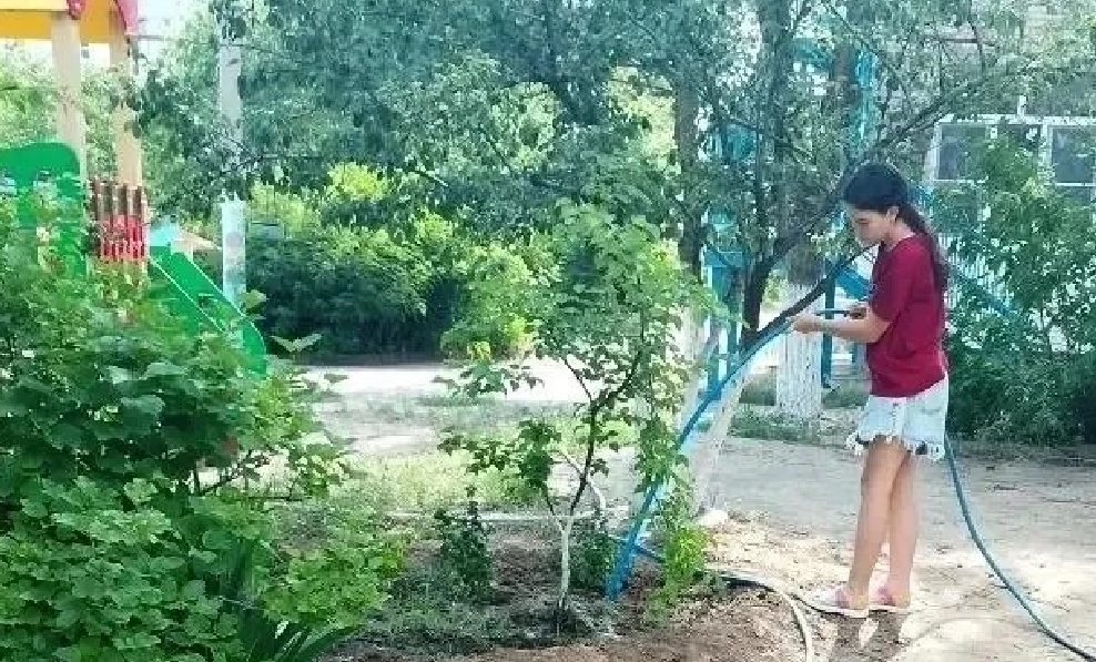 Летние вакансии для подростков в школах и детсадах Астрахани откроются по поручению Главы города