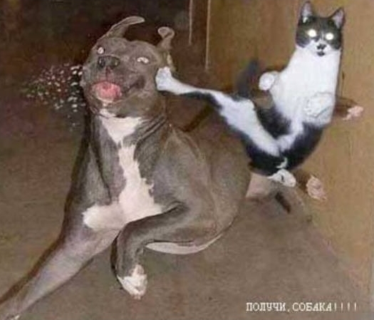 БУДЕТ СХВАТКА (Часть 3). На каких округах будет борьба кандидатов, а на каких – нет?