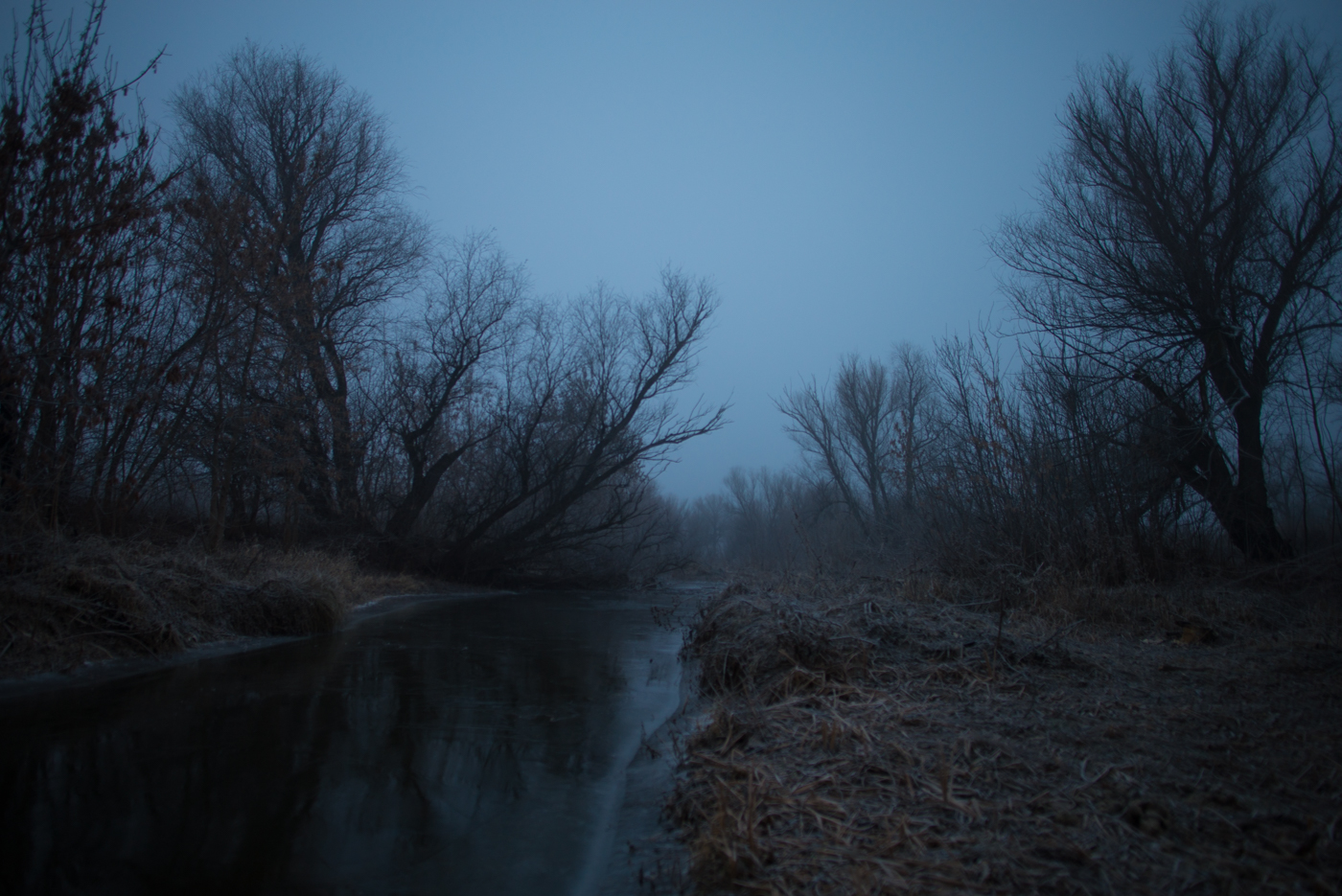 Записки астраханского натуралиста. Самый темный месяц