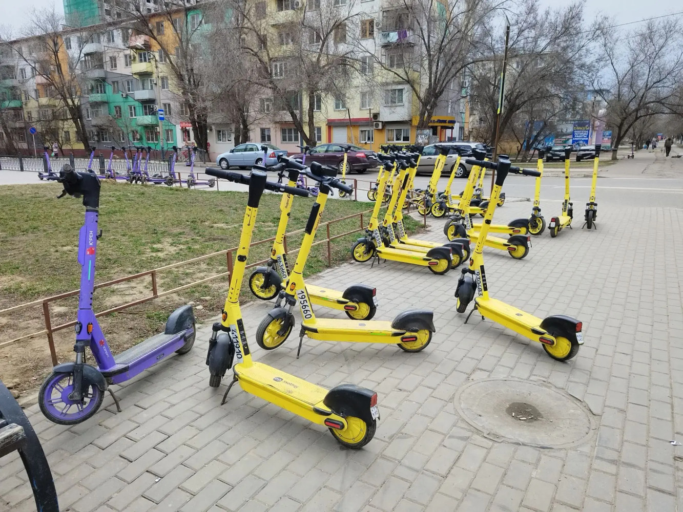 Самокатный сбор: «Новые люди» нашли решение проблемы самокатов в Астрахани
