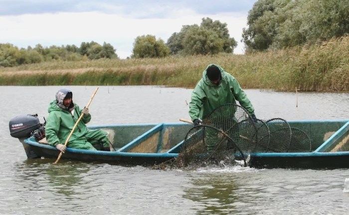 Ловецкая оптимизация: Астраханской области предложат сократить число рыболовных участков