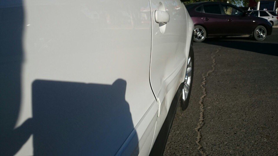 В Астрахани собаки во время драки оставили вмятину на автомобиле