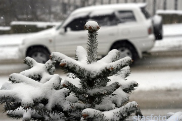 Пятница побила все суточные рекорды по количеству ДТП в Астрахани