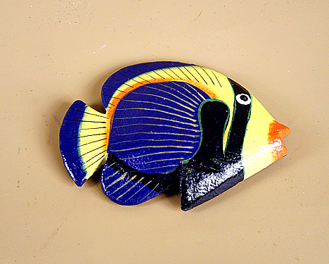 Москвич увозил на память об Астрахани почти 80 килограмм рыбы