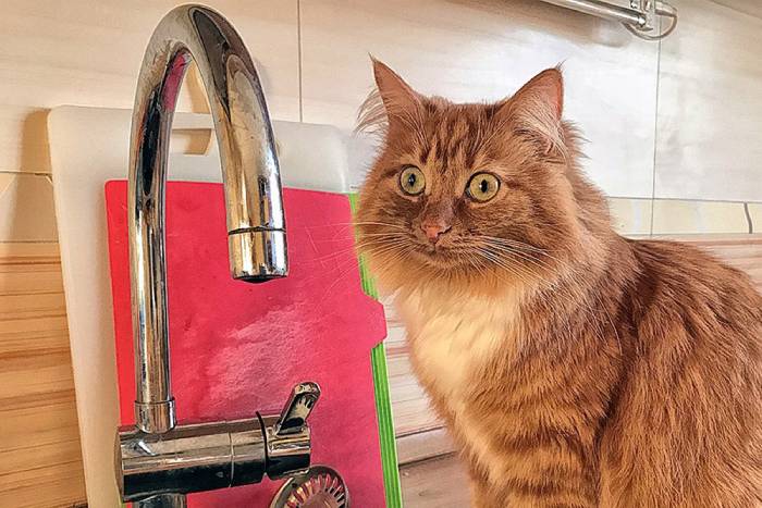 В двух микрорайонах Астрахани отключили холодную воду