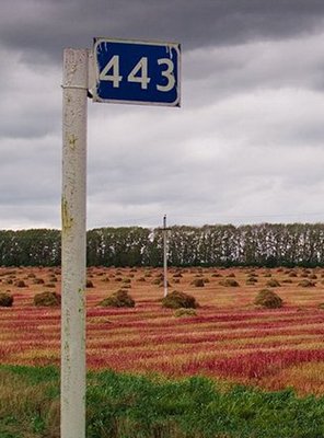 Астраханский Минфин: «Самый богатый район региона из донора превращается в дотационный» (Часть 2)