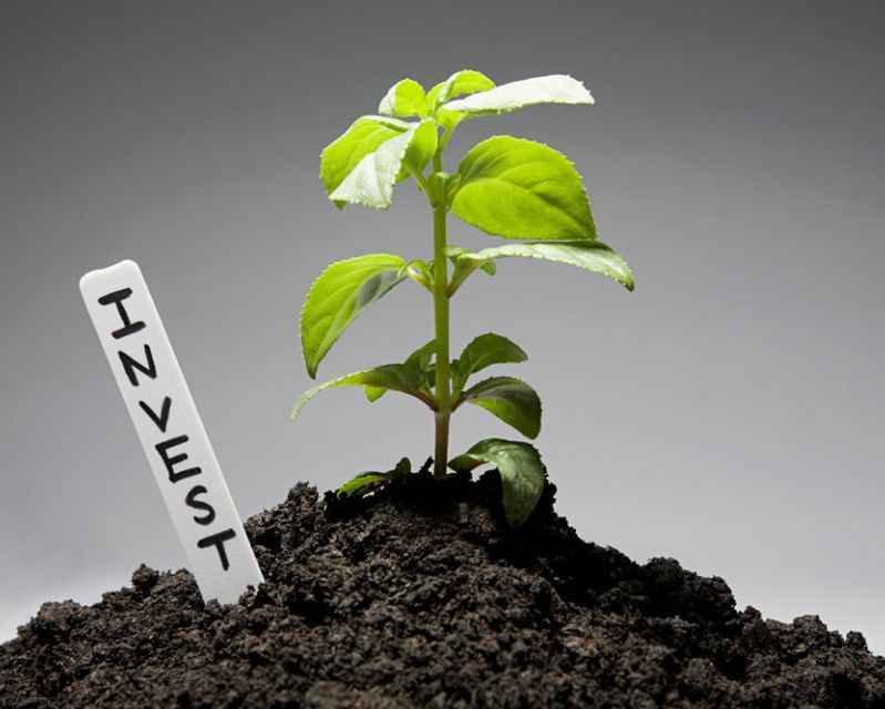 Порядка 130 млрд инвестиций вложат в Астраханскую область в этом году