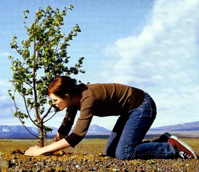 Апрель станет месяцем массовых акций по высадке деревьев в Астрахани