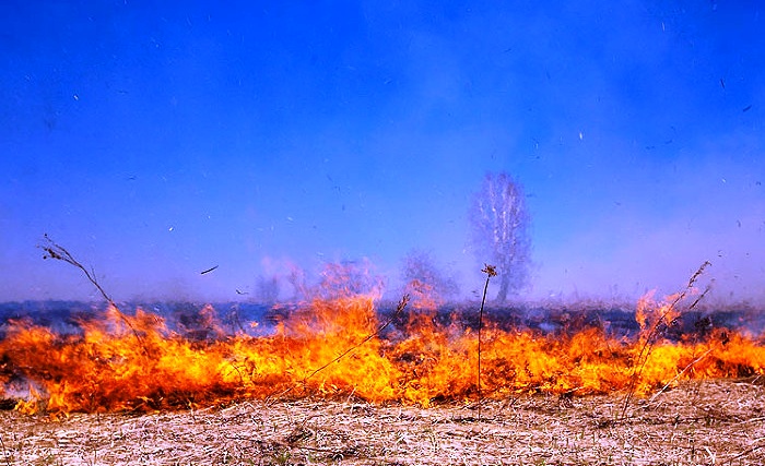 В Астраханской области на три дня прогнозируется чрезвычайная пожароопасность