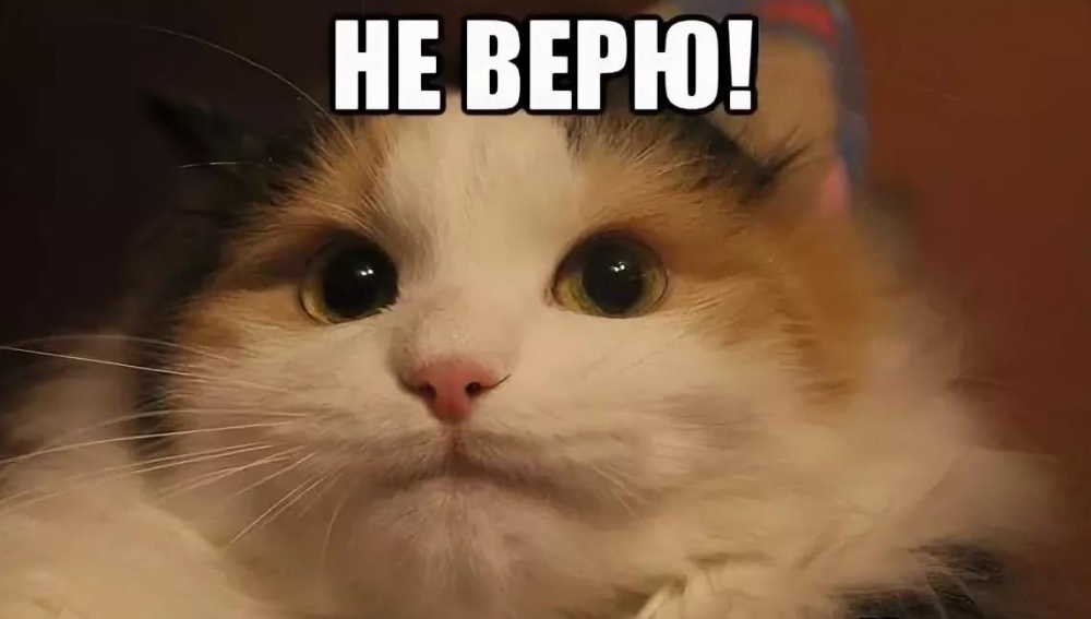 Россияне перестали верить новостям - теперь официально