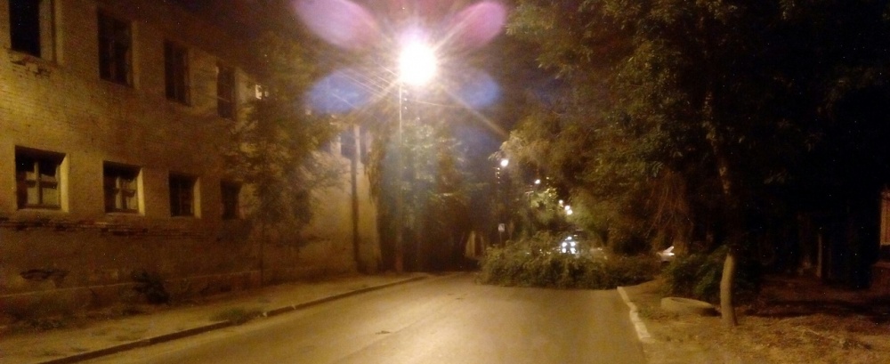 В Астрахани упало очередное дерево