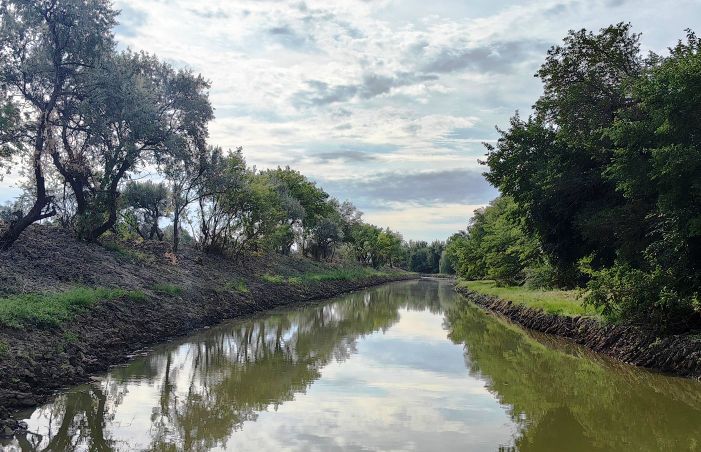 Чем жили. Хоть болотная, зато бесплатная
