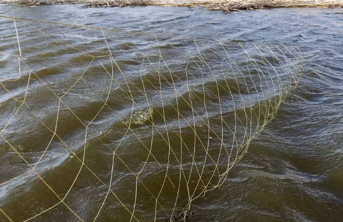 В Астраханской области экс-сотрудника колонии и полицейского будут судить за браконьерство 