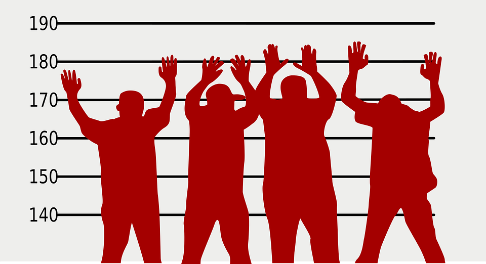 733 млн ущерба нанесли преступления, совершенные в регионе в 2016 г