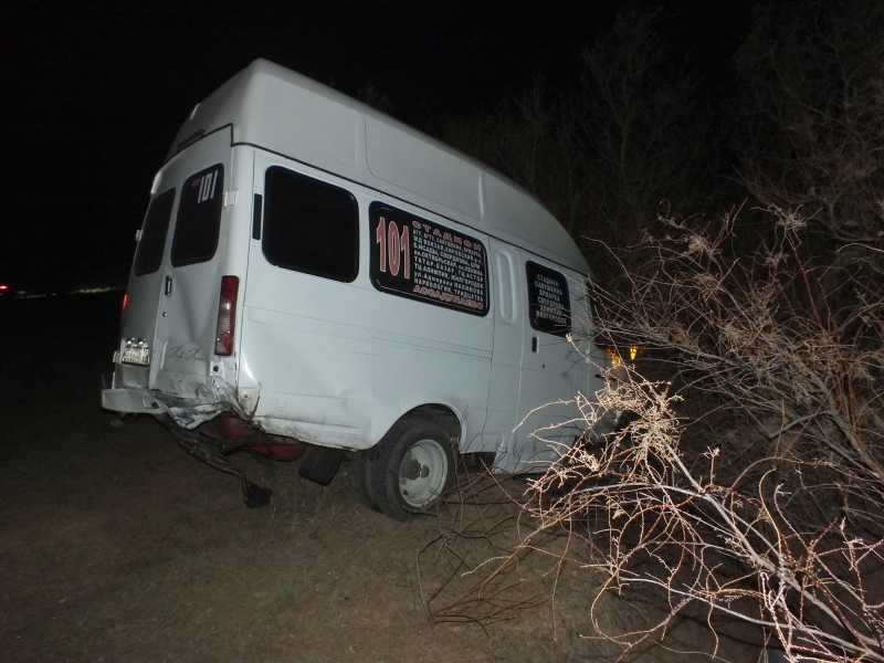 Под Астраханью маршрутка сбила лошадь: животное погибло