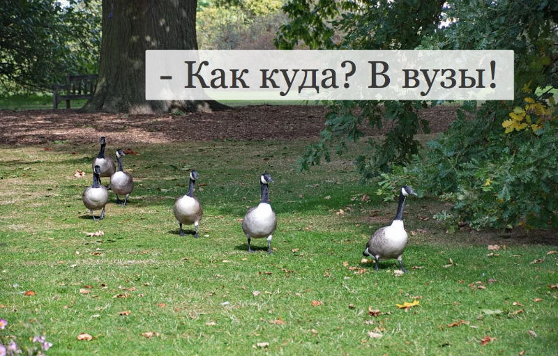 Астраханские вузы могут послужить пристанищем бывшим членам кабмина. Ч. 2