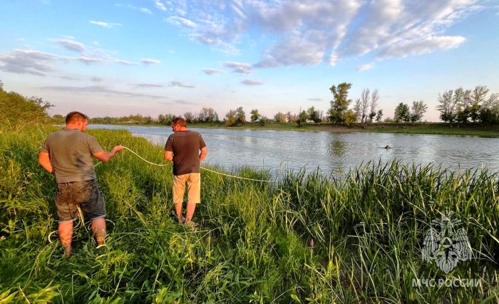 Под Астраханью мужчина спас трех тонувших детей, но сам погиб