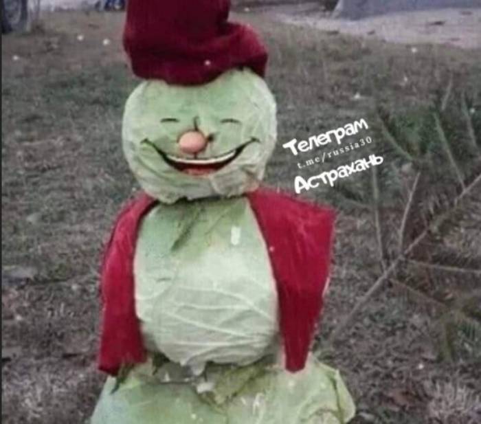 Фото дня в Астрахани: какой Новый год, такой и снеговик