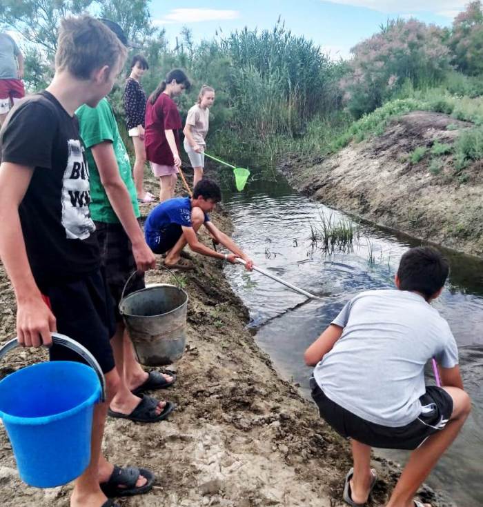 Астраханцы уже спасли более 107 млн рыбной молоди  