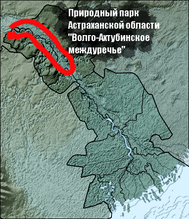 Подробности: Новый природный парк на севере Астраханской области