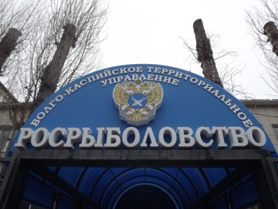 Штрафы для рыбаков останутся – вопреки увещеваниям губернатора?