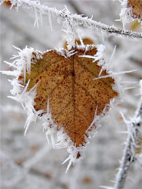 МЧС объявило штормовое предупреждение по Астраханской области