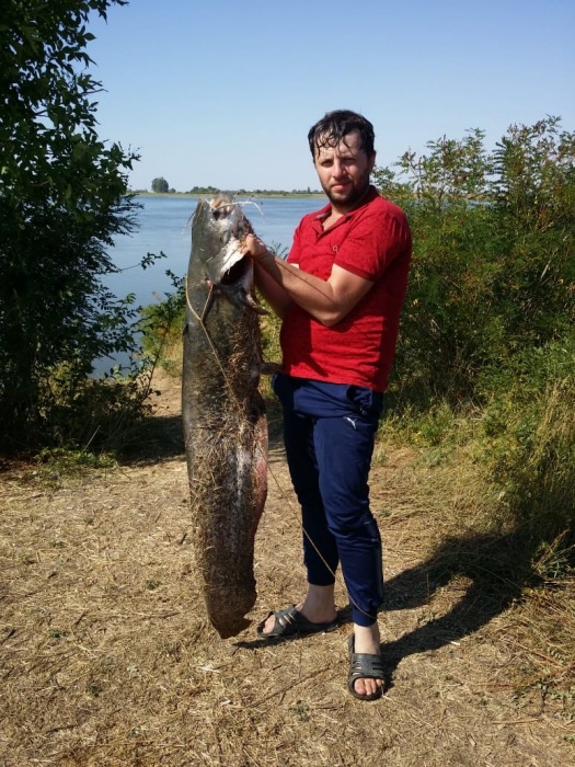 Сезон сомов-гигантов. Очередной рыбак поделился астраханским трофеем