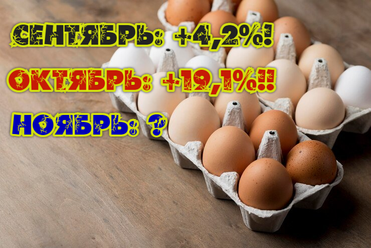 Удар по яйцам-2: в октябре рост цен на социально важный продукт в Астраханской области оказался вчетверо выше, чем в сентябре