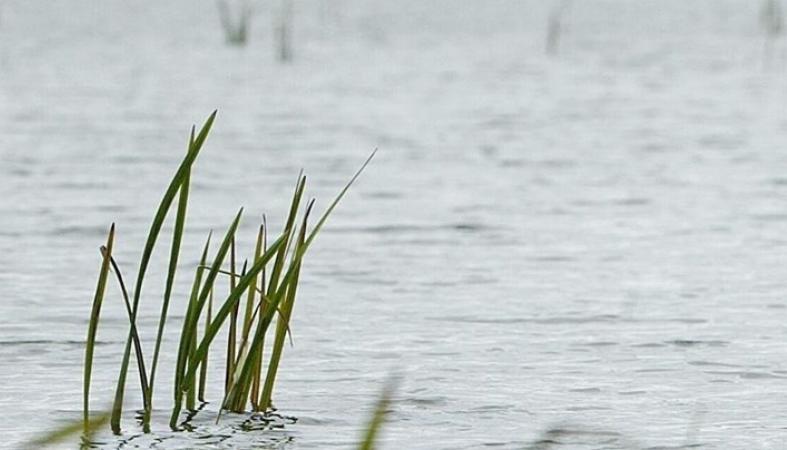 Москвич утопил астраханского егеря на турбазе