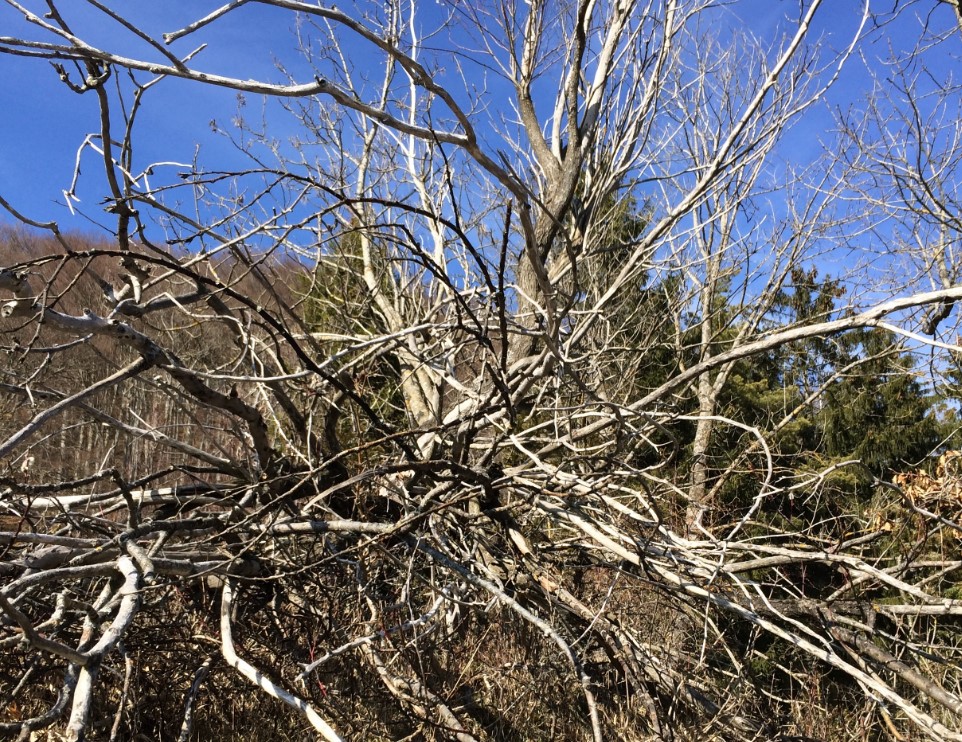 Суд изъял у астраханца 20 га заброшенных сельхозугодий