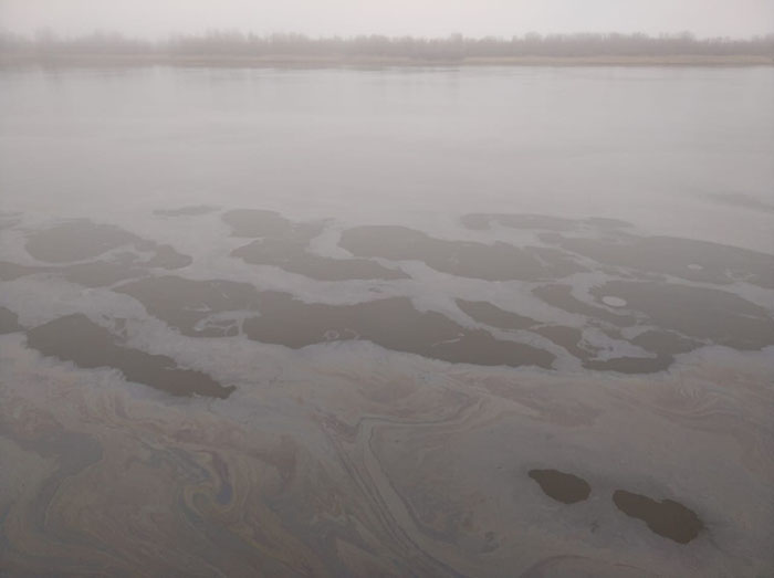 Волгу в Астрахани вновь загадили нефтепродуктами