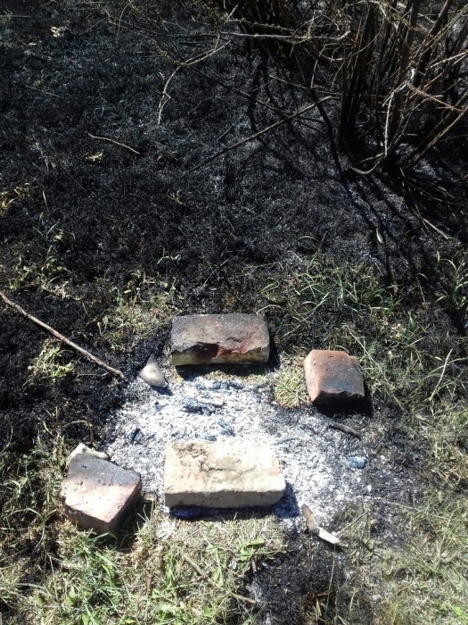 Ничего себе шашлык! Желание астраханца пожарить мясо обернулось природной катастрофой