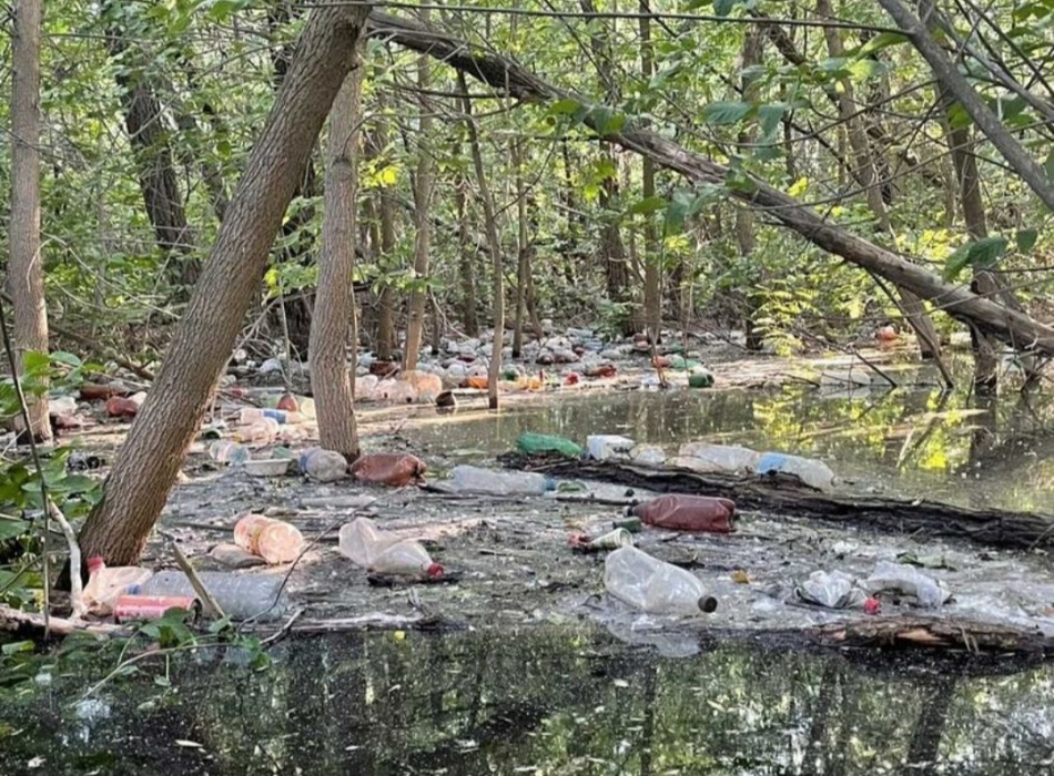 Астраханский остров превратился в помойку