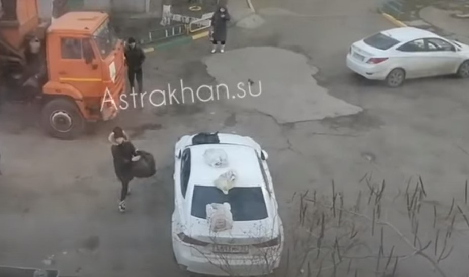 Астраханка разбросала мусор по району в отместку соседям, завалившим ее Лексус отходами: видео