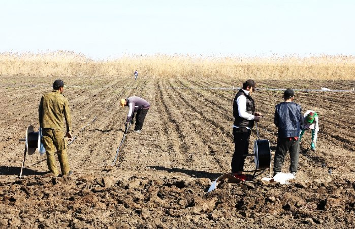 Астраханские фермеры готовы  накормить россиян ранней картошкой и клубникой 